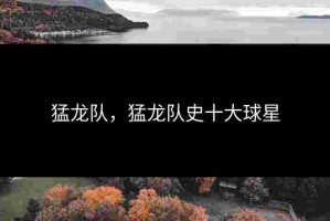 猛龙队，猛龙队史十大球星