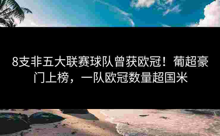 8支非五大联赛球队曾获欧冠！葡超豪门上榜，一队欧冠数量超国米