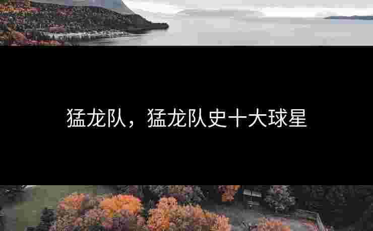 猛龙队，猛龙队史十大球星